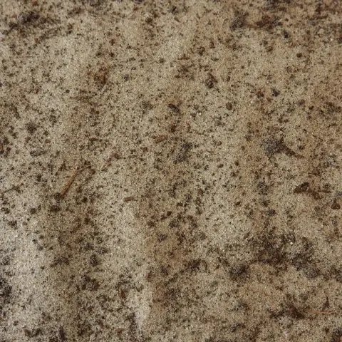Lichtbeige zand gemengd met donkerbruine organische deeltjes