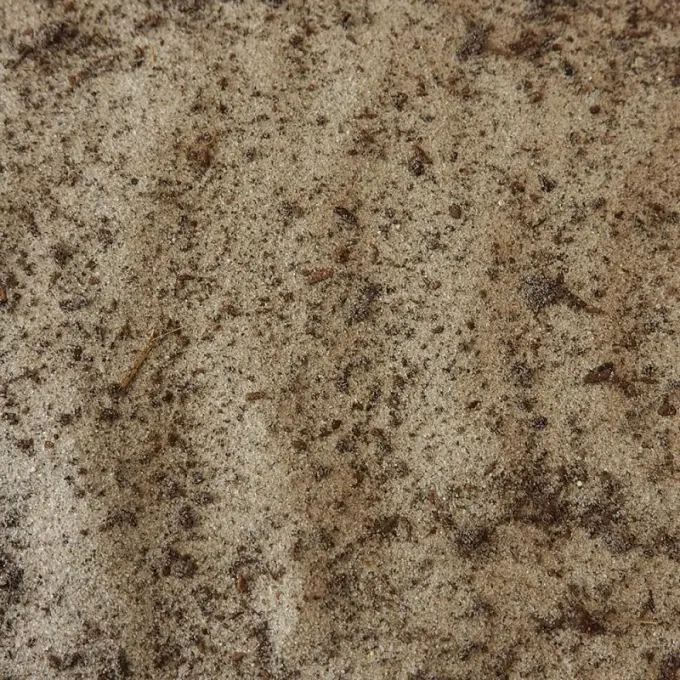 Lichtbeige zand gemengd met donkerbruine organische deeltjes