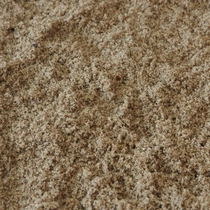 Grofkorrelig beige zand met donkere spikkels ertussen