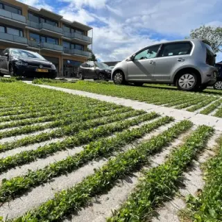 Laag standpunt over parkeervakken van grastegels met gras in de voegen