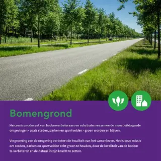 Voorblad van de brochure Bomengrond met een laan met jonge bomen