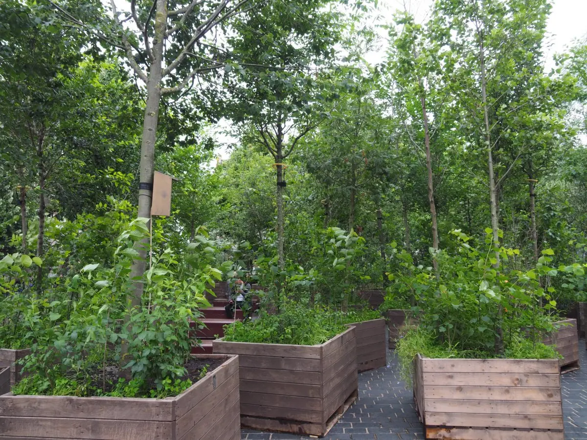 Tijdelijk bos van bomen in houten bakken met zitplekken ertussen