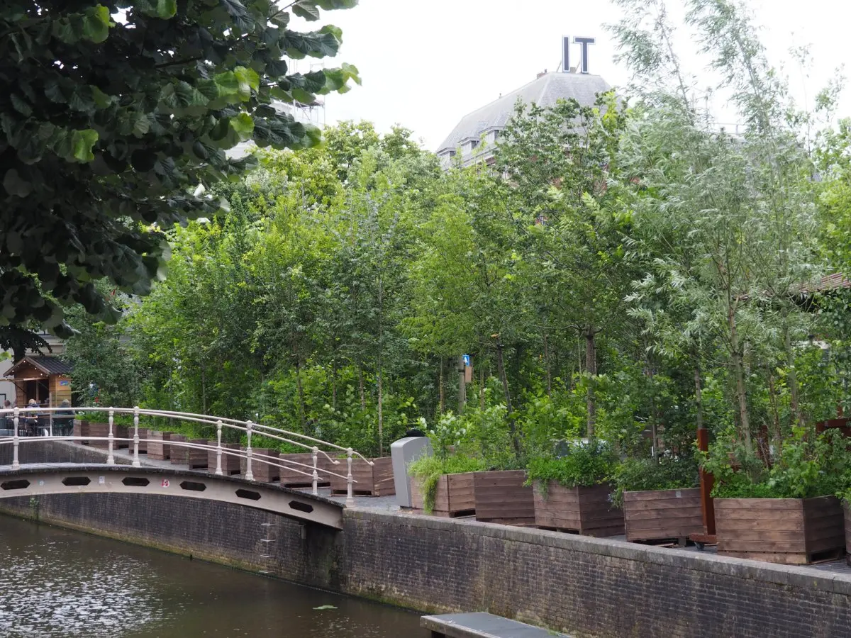 Bomen in houten bakken langs een gracht bij een witte brug