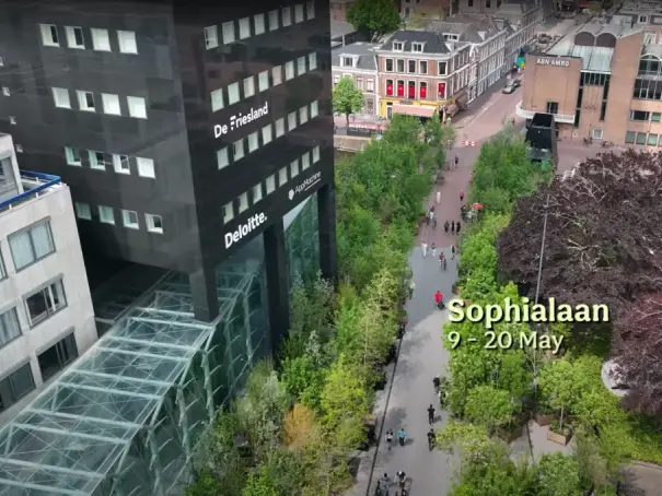 Luchtfoto van een stadsstraat vol jonge bomen met de tekst Sophialaan