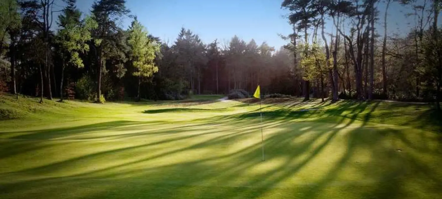 Green van een golfbaan met gele vlag tussen hoge bomen