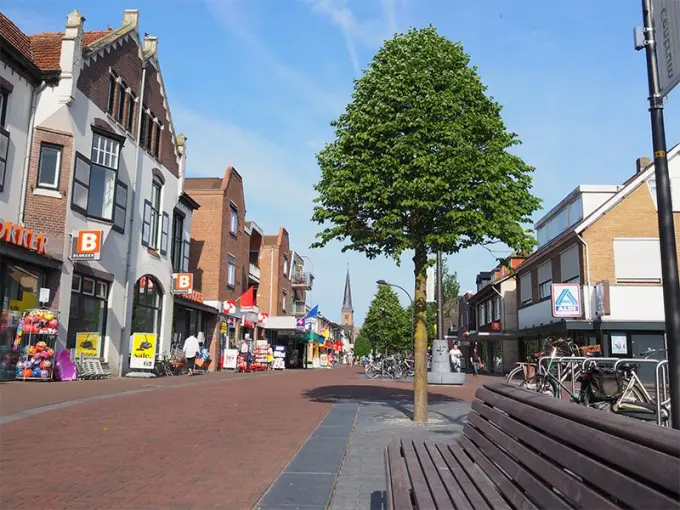 Winkelstraat met een jonge boom in de bestrating en een houten bankje