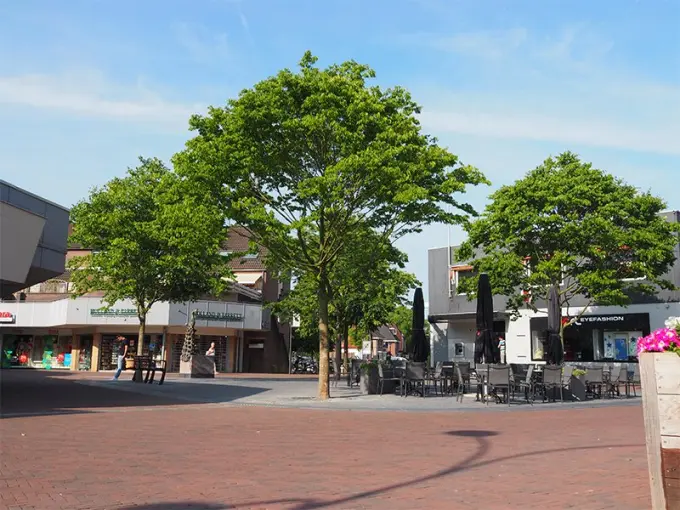 Dorpsplein met volgroeide bomen, winkels en een leeg terras