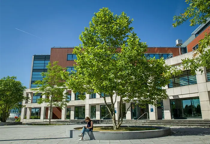 Vrouw zit op de rand van een boomvak op een zonnig plein