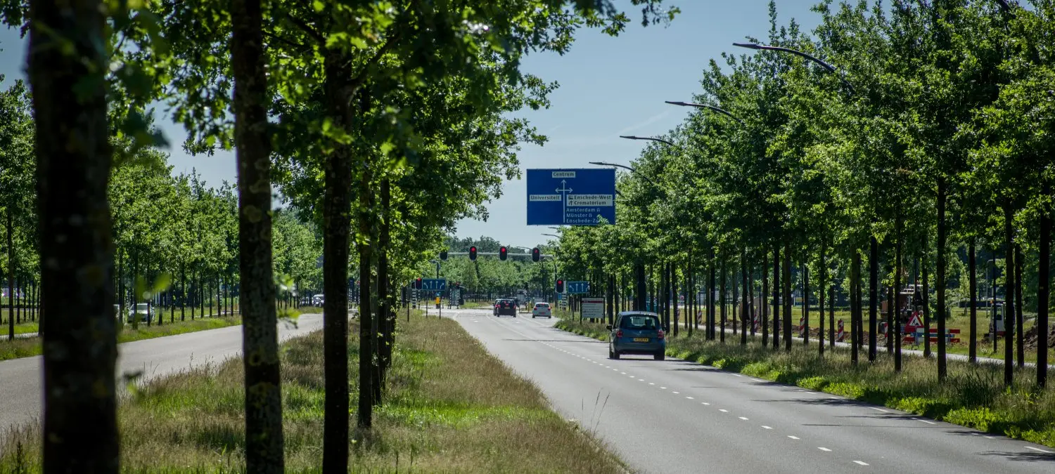 Autoweg met dubbele bomenrijen en blauwe wegwijzers in de zomer