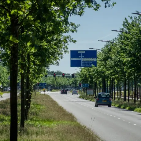 Autoweg met dubbele bomenrijen en blauwe wegwijzers in de zomer