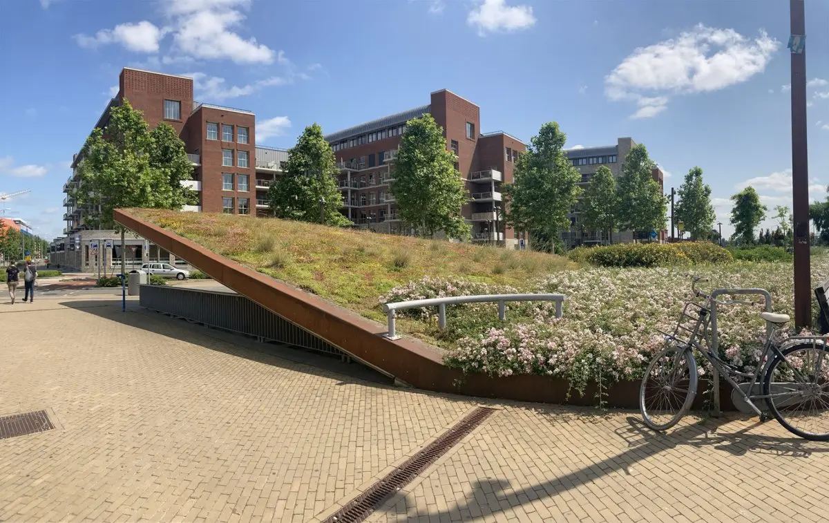 Schuin aflopend groendak met grassen en bloemen voor woonblokken