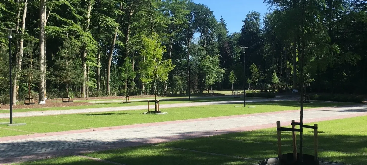 Groene parkeerstroken met gras tussen bestrating in een bosrijk park