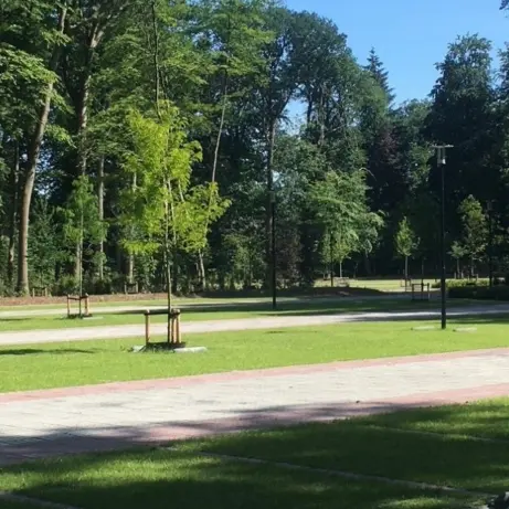 Groene parkeerstroken met gras tussen bestrating in een bosrijk park