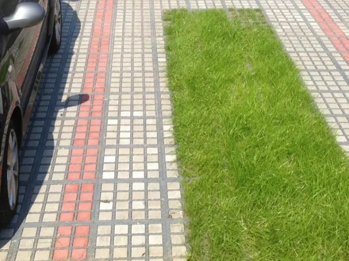 Waterdoorlatende bestrating met open voegen naast een strook gras