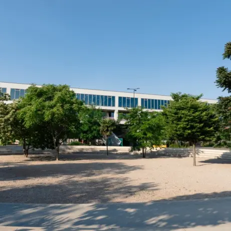 Jonge bomen op een zandvlakte voor een langgerekt kantoorgebouw