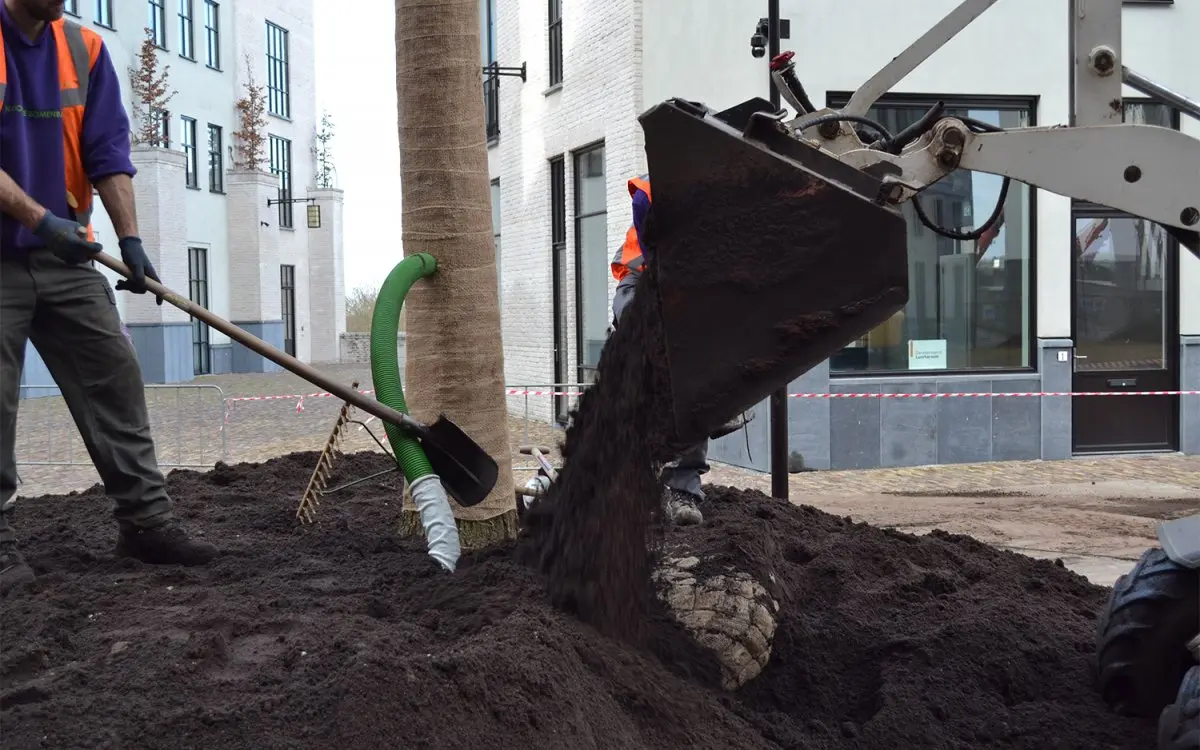 Graafmachine stort donkere boomgrond rond een net geplante boom
