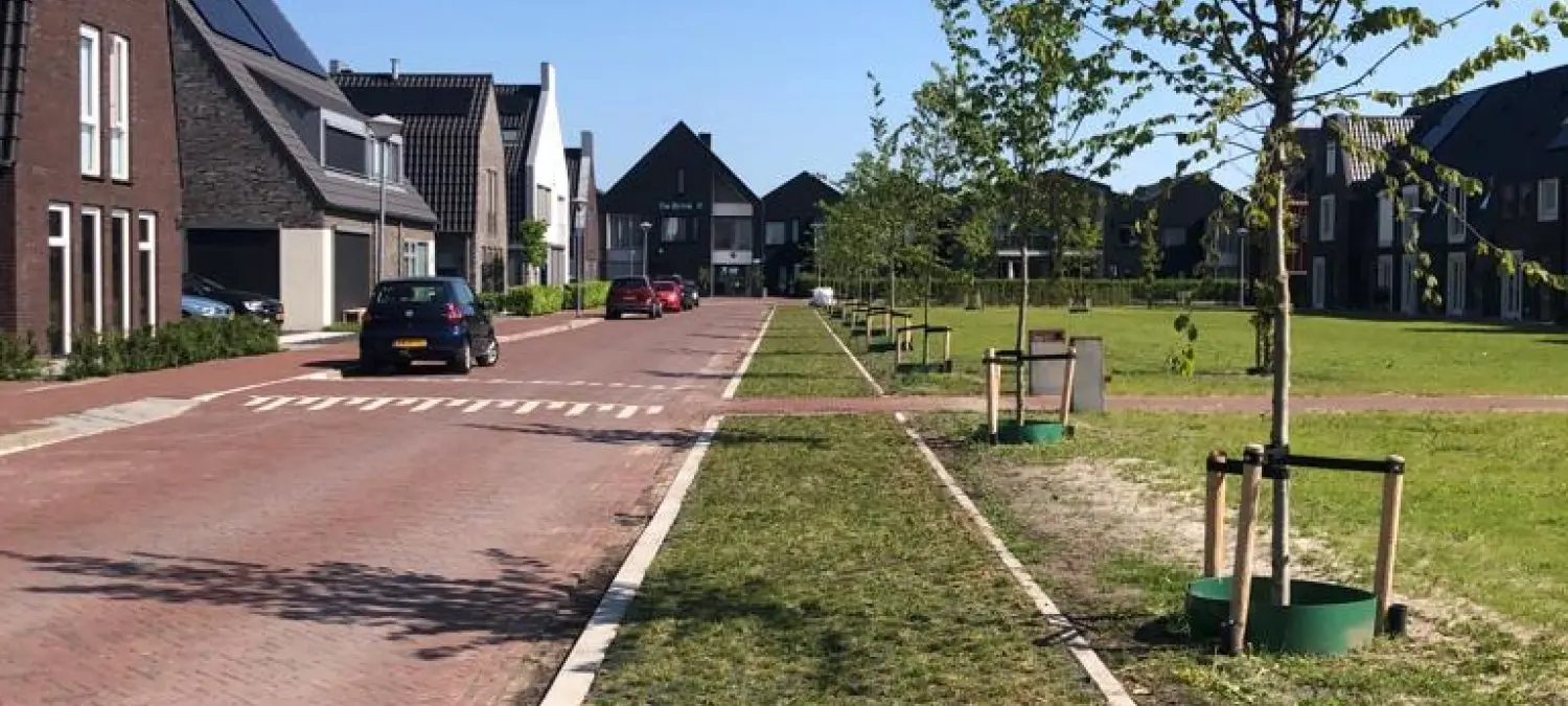 Nieuwe woonwijk met jonge bomen in een grasstrook langs een klinkerweg