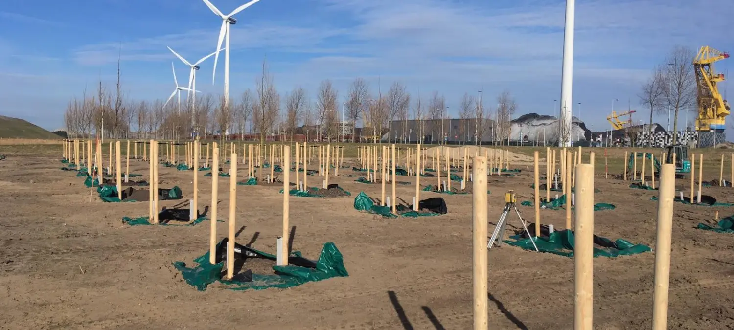 Veld met pas geplante bomen aan boompalen, windmolens op de achtergrond