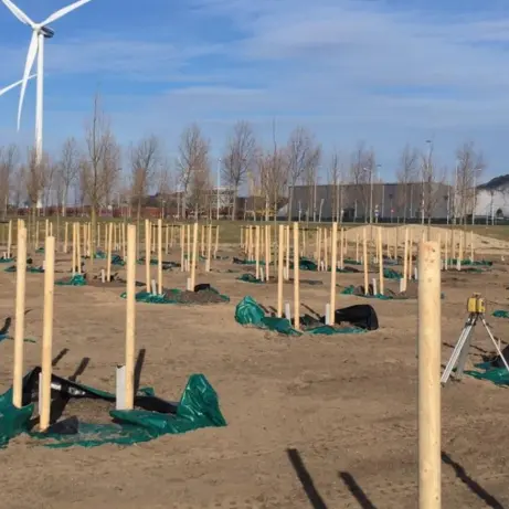 Veld met pas geplante bomen aan boompalen, windmolens op de achtergrond
