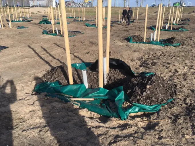 Plantgat met groen folie, beluchtingsbuis en losse grond rond een jonge boom