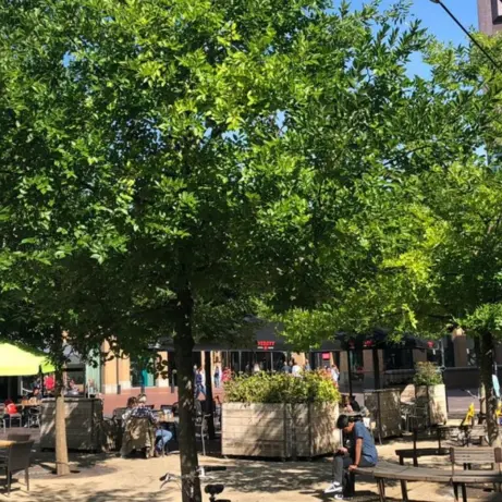 Schaduwrijk plein met grote bomen, een terras met groene parasol en bankjes