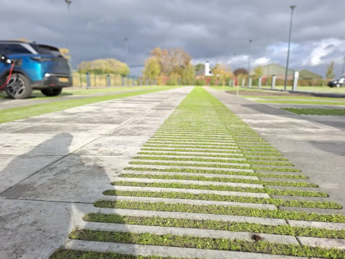 Grasbetonstroken met opkomend gras tussen de parkeervakken, van dichtbij