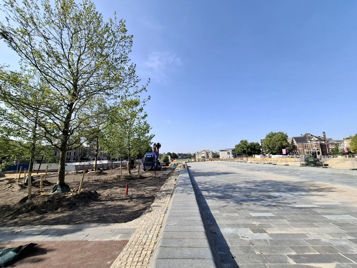 Rij pas geplante bomen naast de nieuwe bestrating van een stadsplein