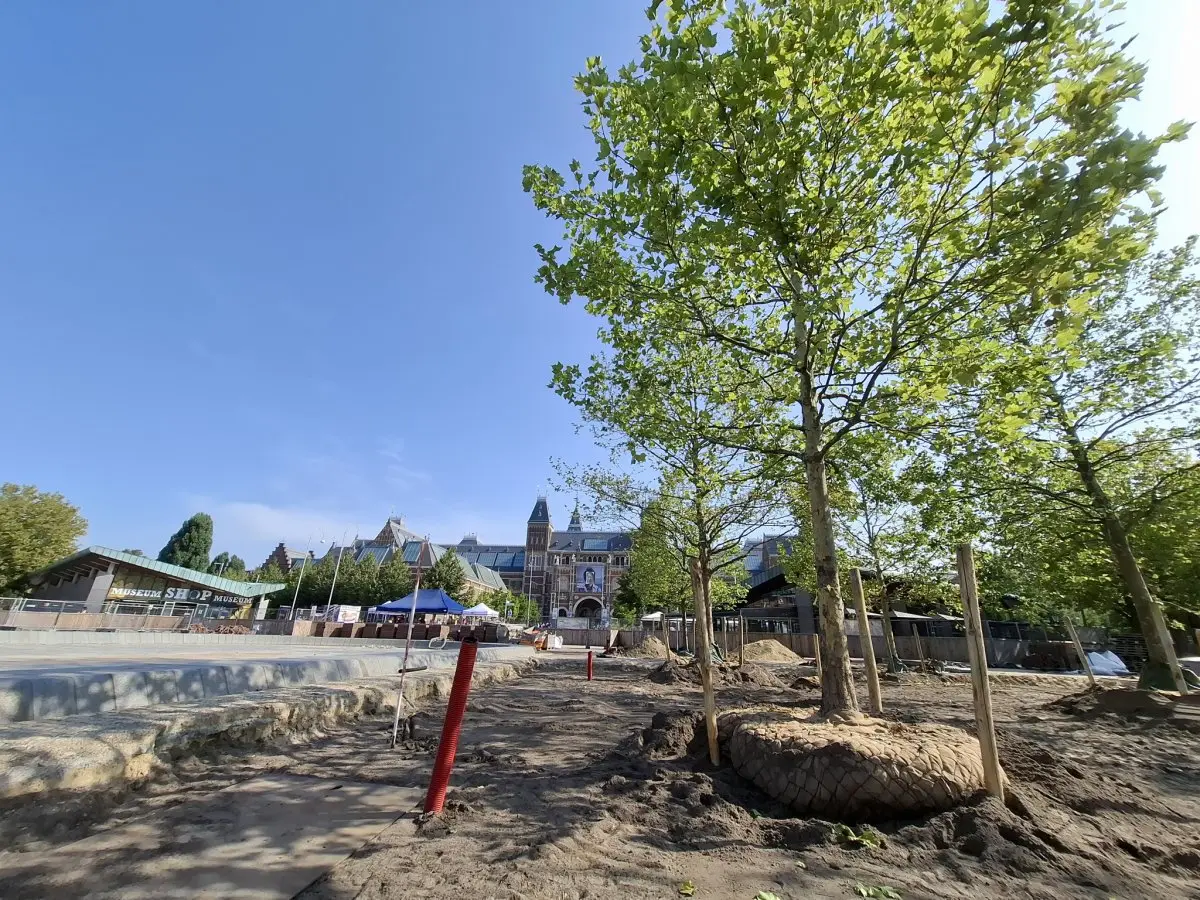 Pas geplante boom met kluit in het zand voor het Rijksmuseum