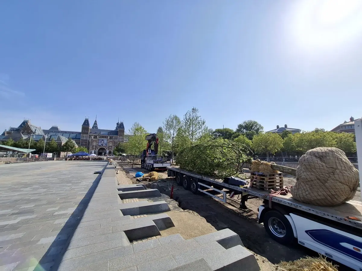Oplegger met een boom met kluit voor het Rijksmuseum