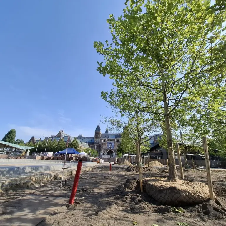 Pas geplante bomen in zand op het Museumplein bij het Rijksmuseum