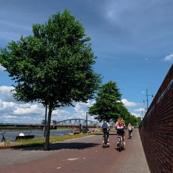 Fietsers op een pad langs een rivier met bomen en bakstenen muur