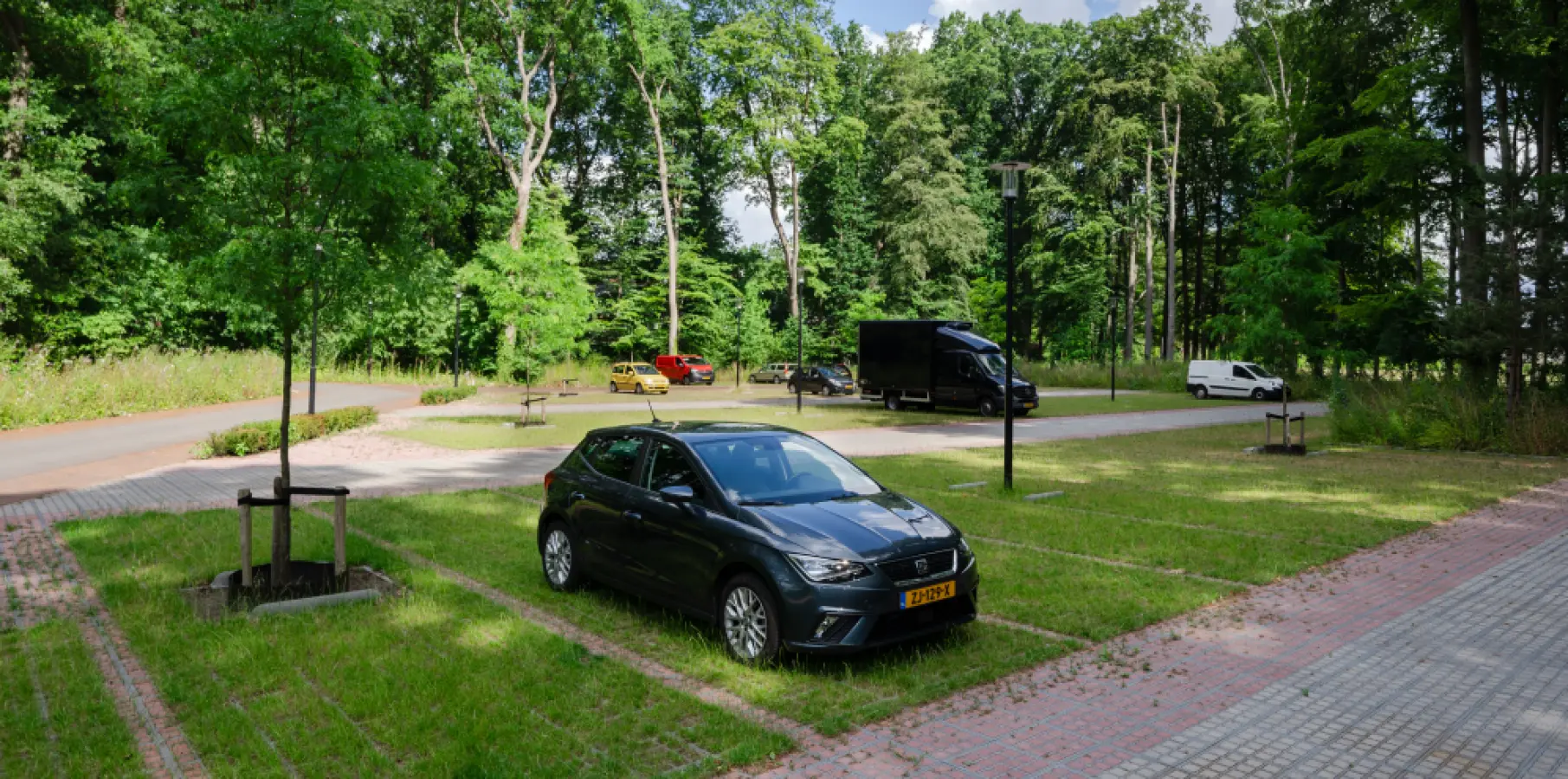 Auto geparkeerd op grasparkeervakken van een bosrijk parkeerterrein
