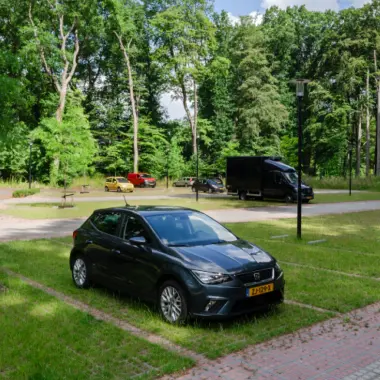 Auto geparkeerd op grasparkeervakken van een bosrijk parkeerterrein