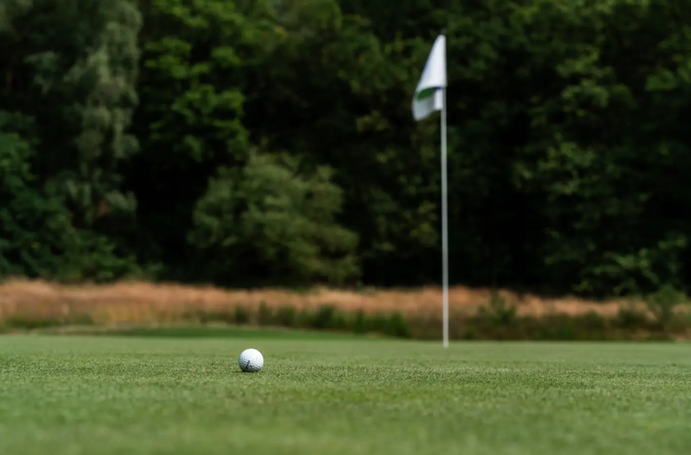 Golfbal op een green met vlaggenstok en bosrand op de achtergrond