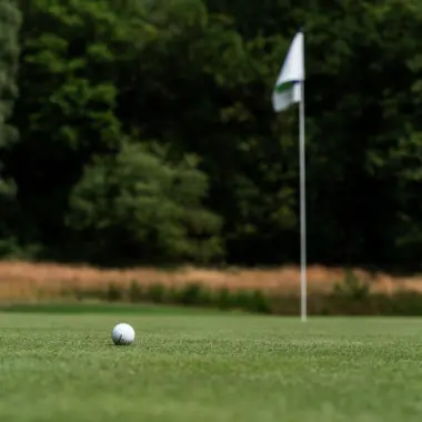 Golfbal op een green met vlaggenstok en bosrand op de achtergrond