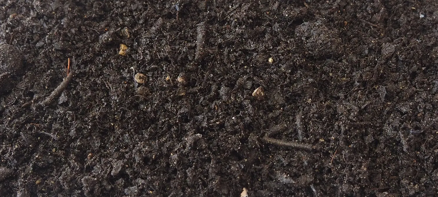 Close-up van donkere kruimelige bladcompost met kleine takjes