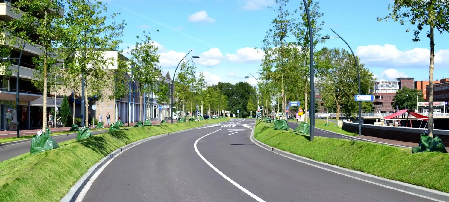 Nieuwe asfaltweg met jonge bomen en groene gietzakken in de bermen