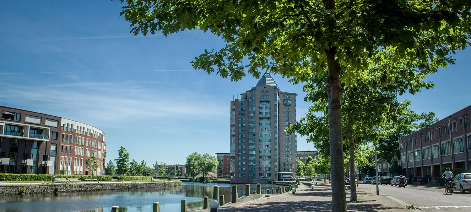 Bomen langs een straat bij een stadsgracht met een hoge woontoren