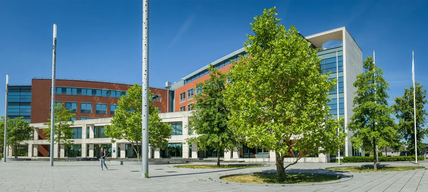 Boom in het bestrate plein voor een groot modern kantoorgebouw