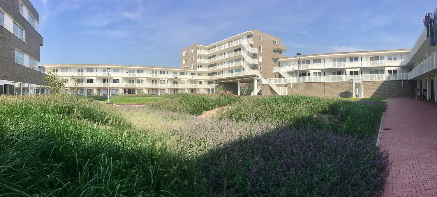 Binnentuin met siergrassen en bloeiende lavendel tussen appartementengebouwen