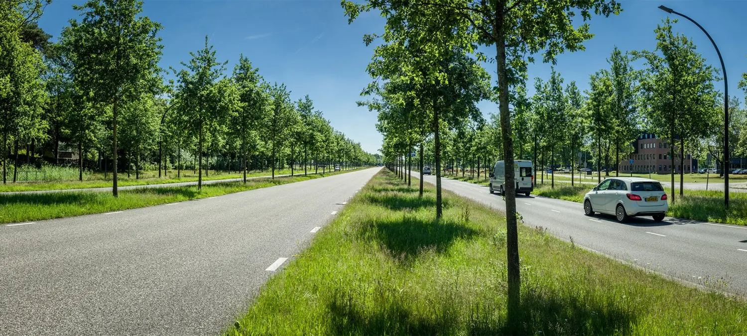 Brede weg met jonge bomen in de middenberm en rijdende auto's