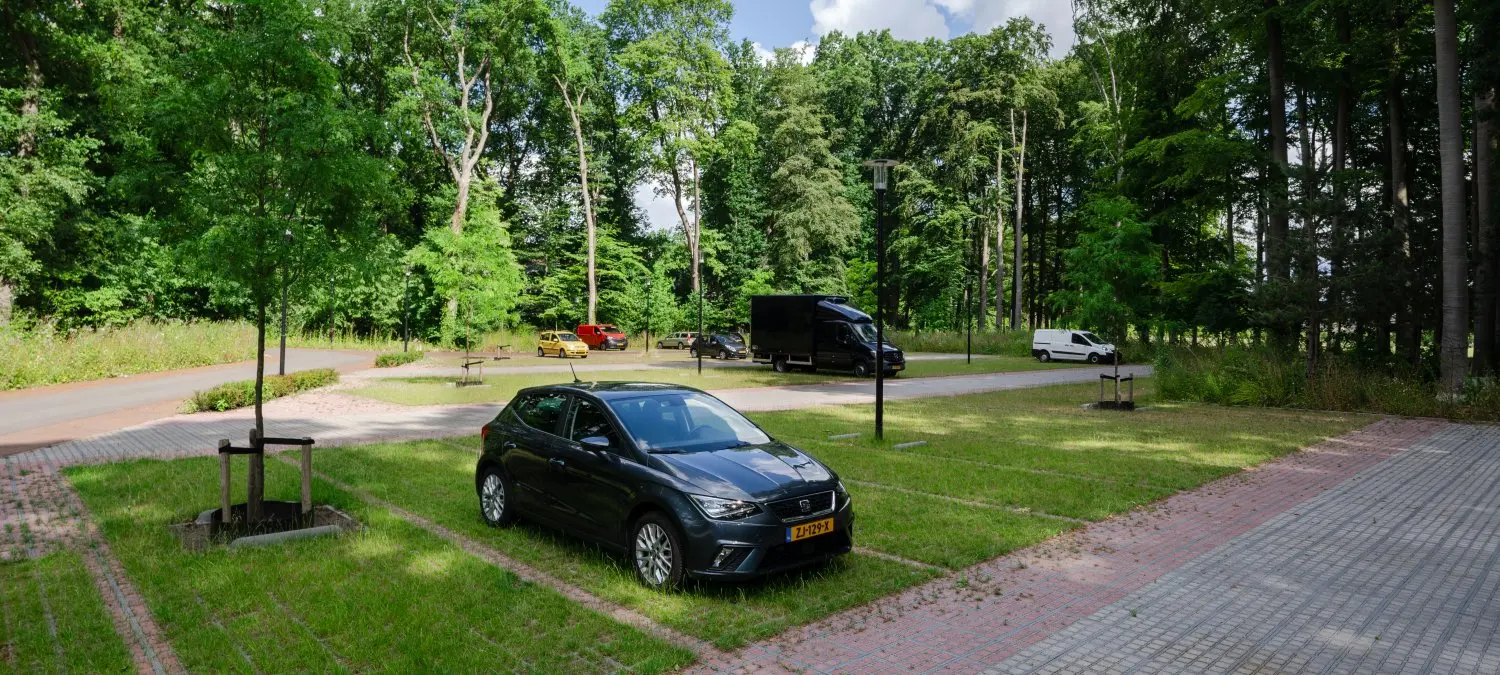 Auto geparkeerd op grasklinkers in een groene parkeerplaats tussen bomen