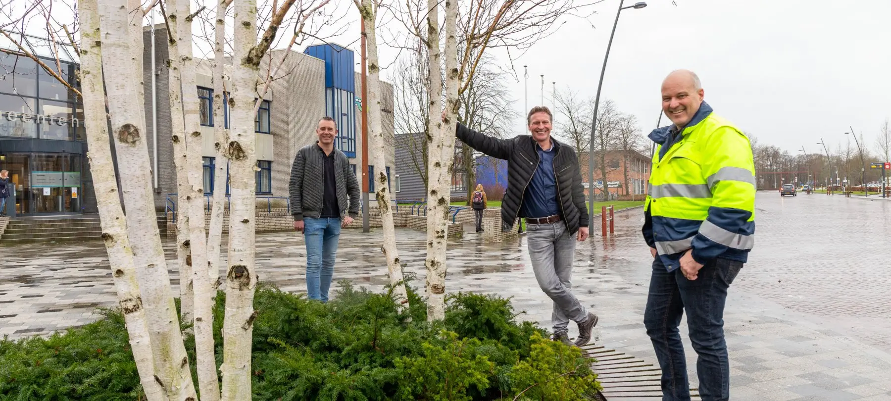 Drie mannen bij een plantvak met berken voor een modern gebouw