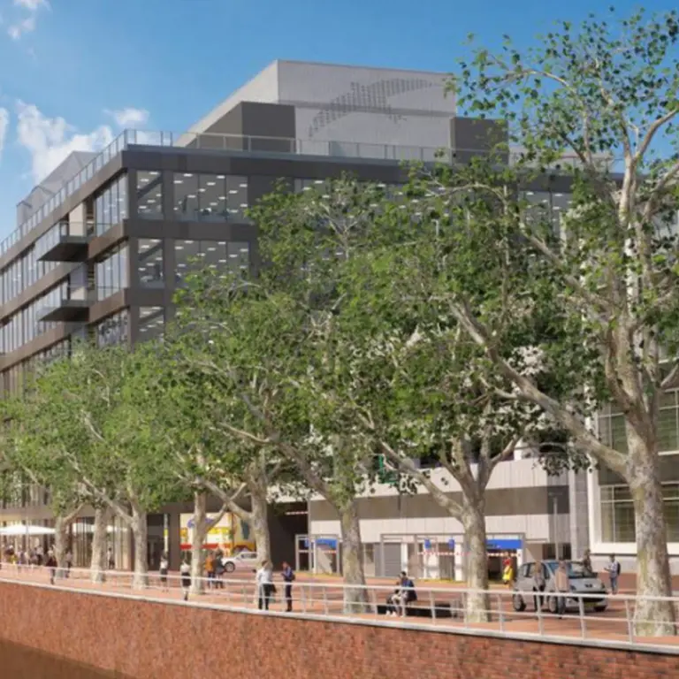 Impressie van platanen langs een gracht bij moderne kantoorgebouwen