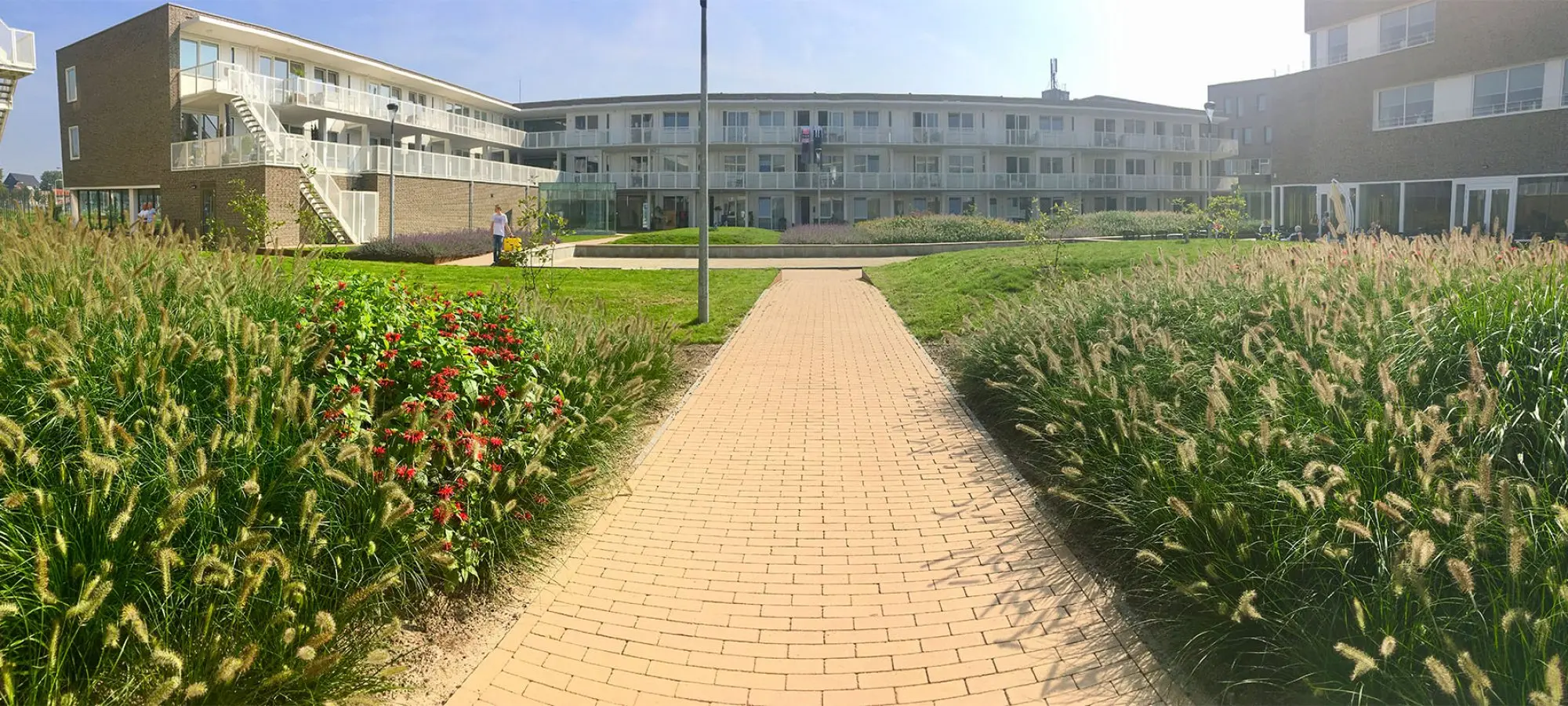 Klinkerpad tussen siergrassen en rode bloemen bij een appartementencomplex