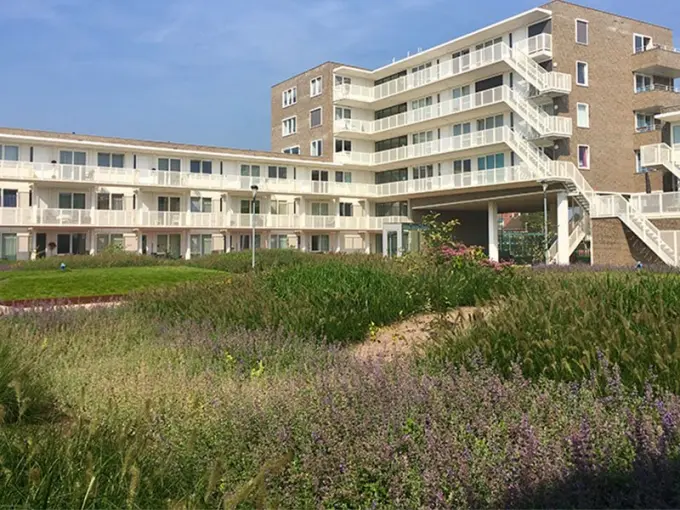 Bloeiende vaste planten en siergrassen op een daktuin bij een appartementencomplex