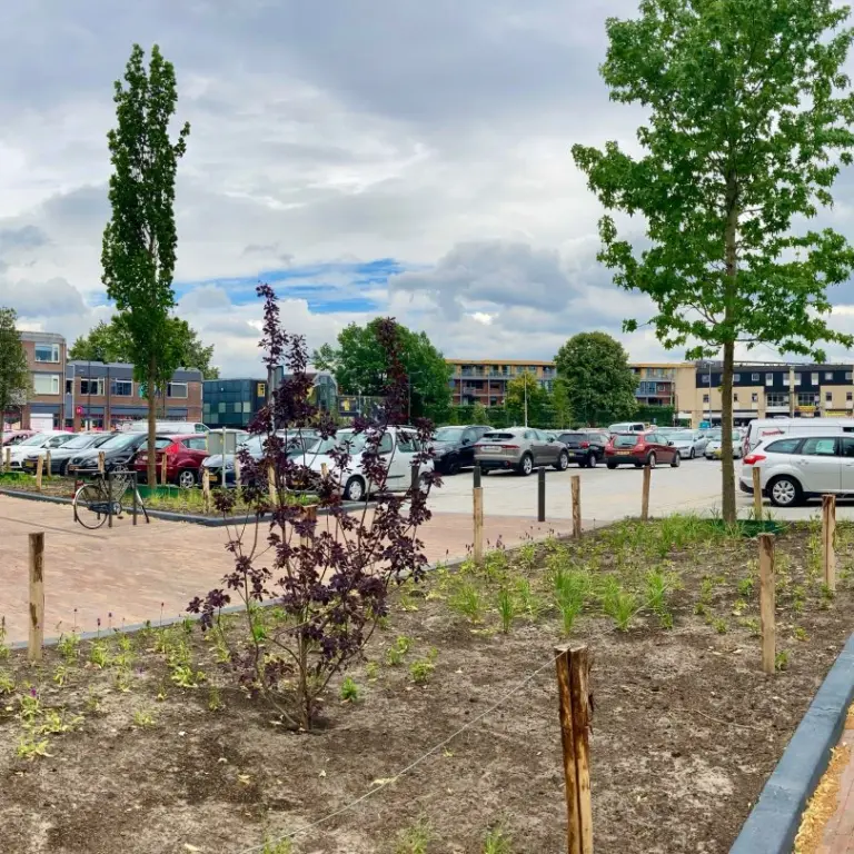 Plein met jonge bomen en pas ingeplante vakken naast een parkeerterrein