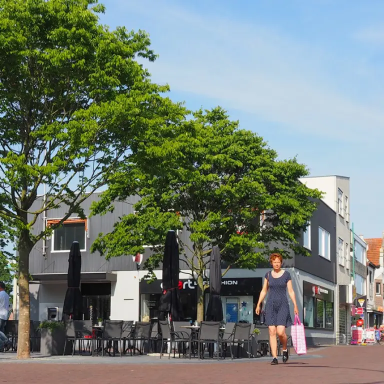 Zonnige winkelstraat met grote boom, terras en een vrouw met boodschappentas