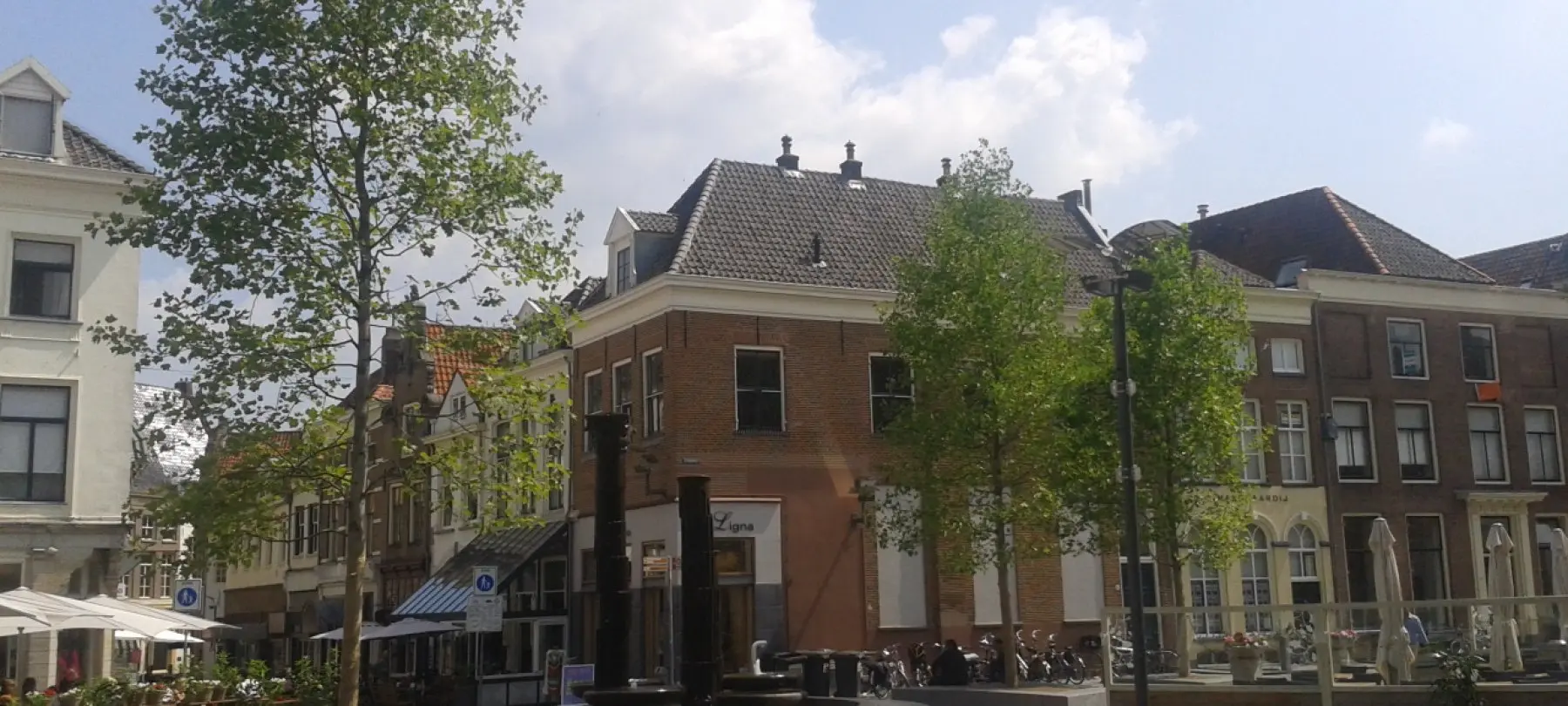 Jonge bomen op een stadsplein tussen oude gevels in de zon