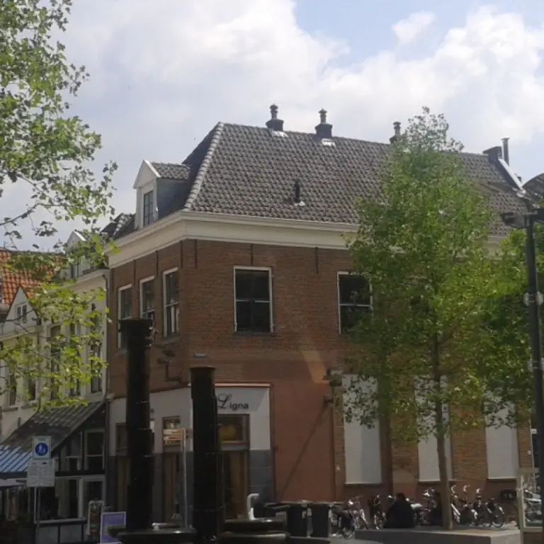 Jonge bomen op een stadsplein tussen oude gevels in de zon